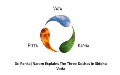 Dr. Pankaj Naram Explains The Three Doshas In Siddha Veda