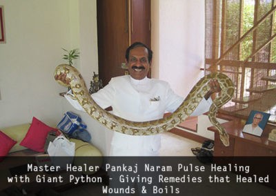 Master Healer Pankaj Naram Pulse Healing with Giant Python - Giving Remedies that Healed Wounds _ Boils