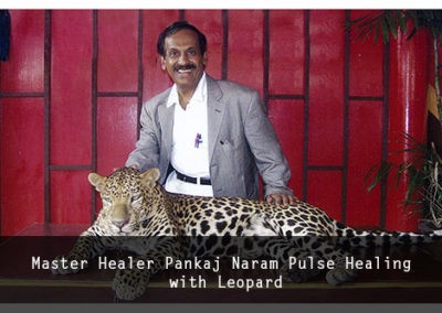 Master Healer Pankaj Naram Pulse Healing with Leopard