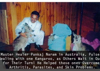 Master Healer Pankaj Naram in Australia, Pulse Healing with one Kangaroo, as Others Wait in Que for Their Turn! He Helped these ones Overcome Arthritis, Parasites, and Skin Problems